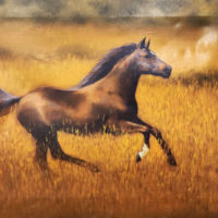 Painting The Horse. Buy at the best price.